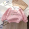 A new Korean-style rabbit-embroidered hoodie for girls in autumn 2024, a stylish top for babies in spring and autumn Specification image